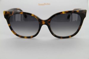 Germano Gambini zon Forma 01